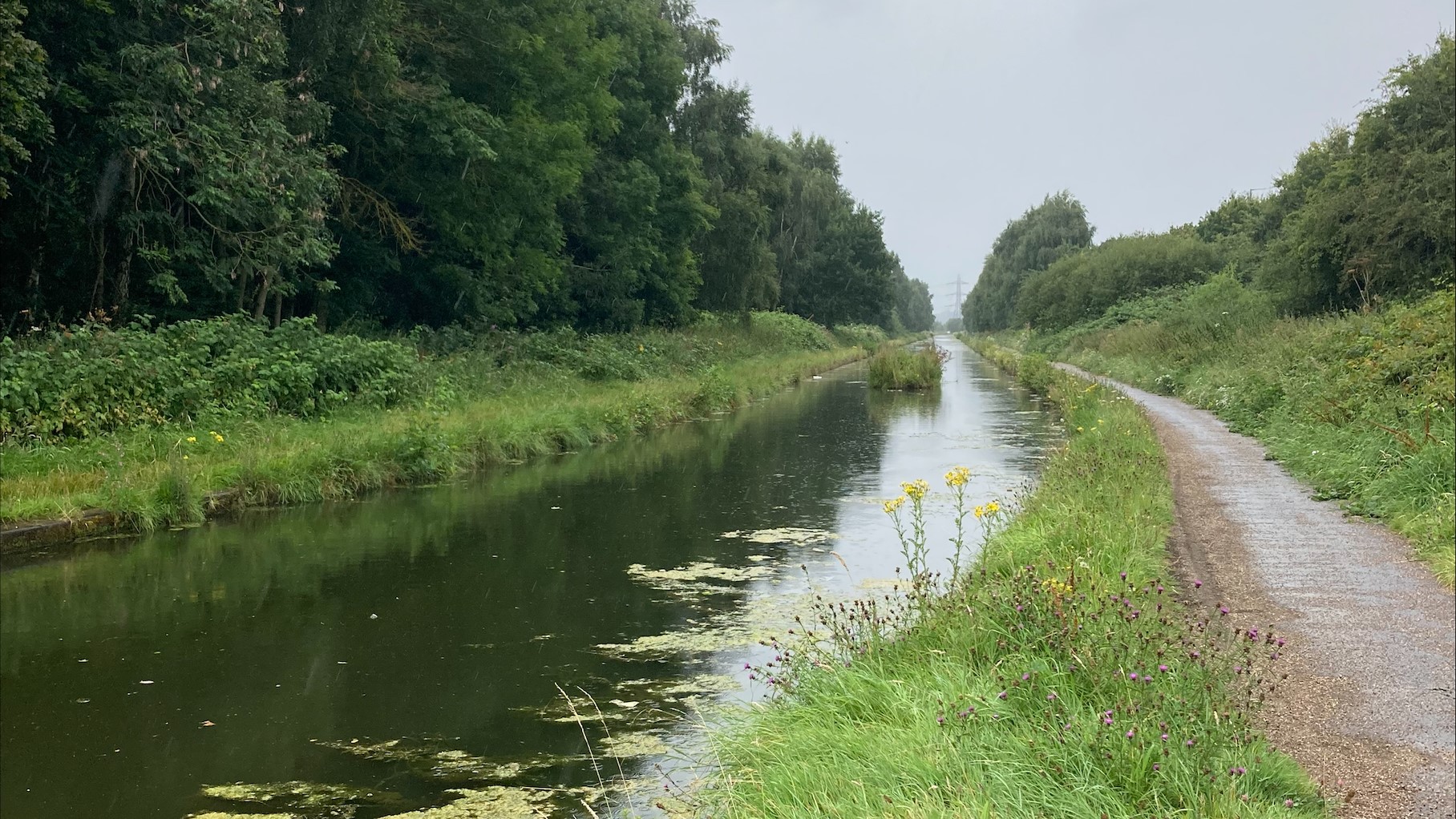 Walsall Canal Toxic Spillage (copyright Environment Agency)