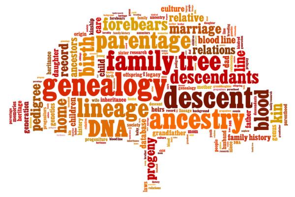 Genealogy word cloud
