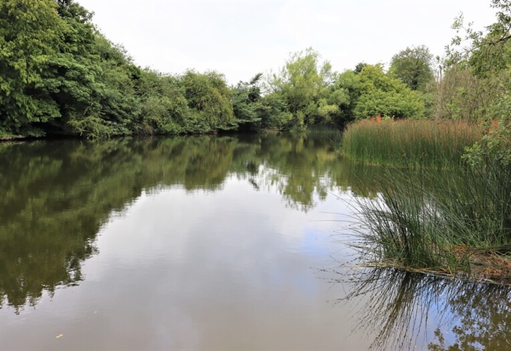 image of a big pond