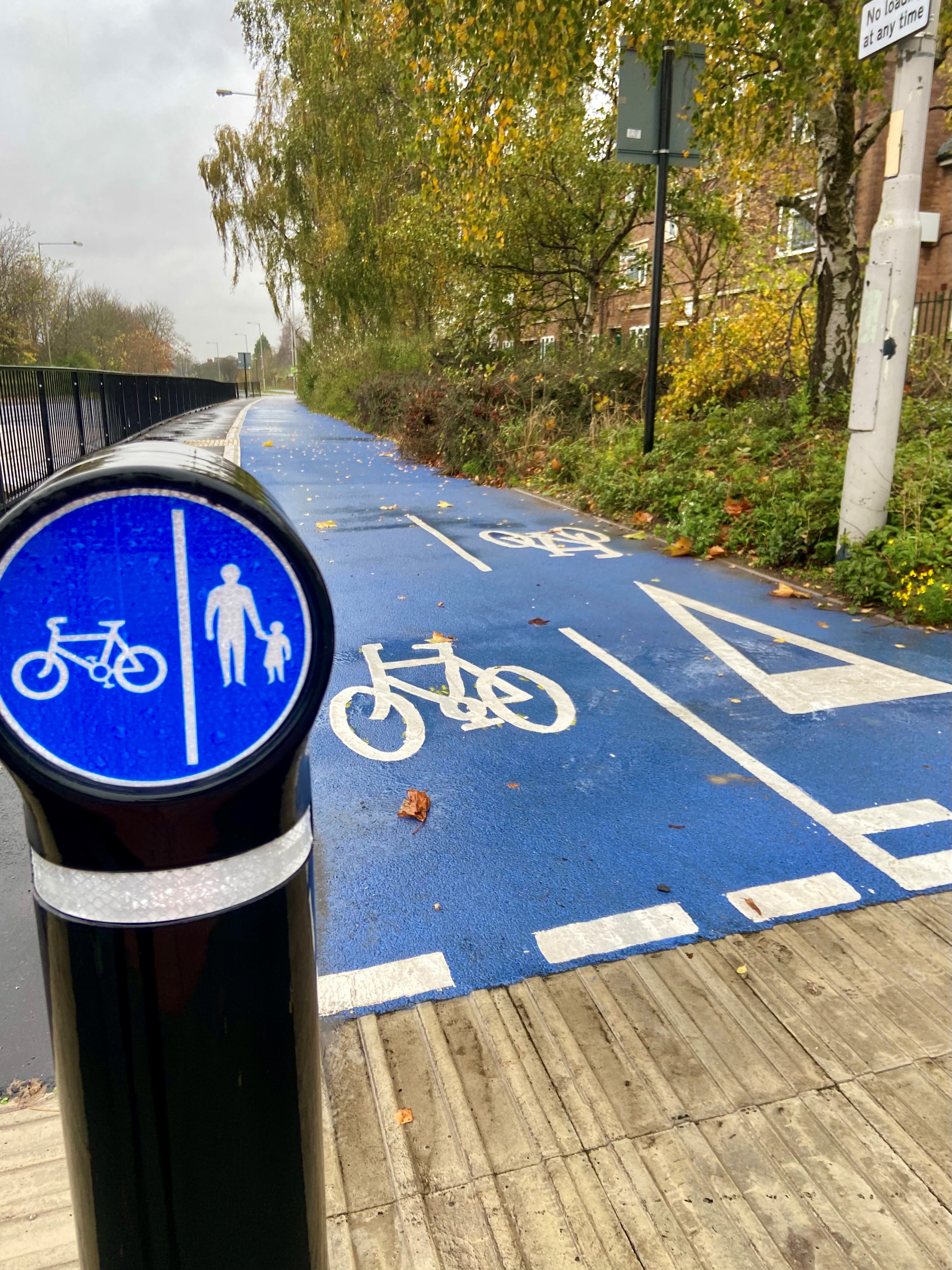 Image shows a blue cycle lane in two directions.
