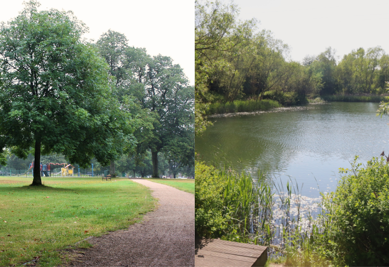 Image depicts a collage of two photos showing a path in Pelsall Common and the fishing pool at Reedswood Park