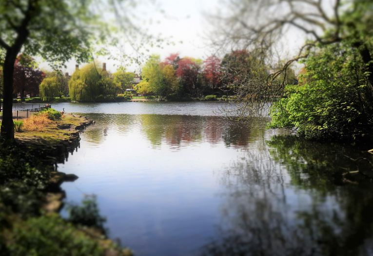 Hatherton Lake at Walsall Arboretum.