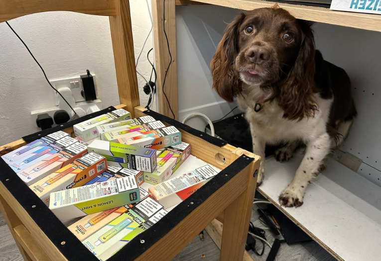 Image depicts Griff the sniffer dog next to a concealment of illegal vapes in a chair.