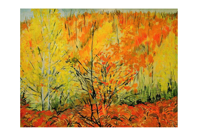 A landscape of trees in autumn, with orange and yellow leaves.