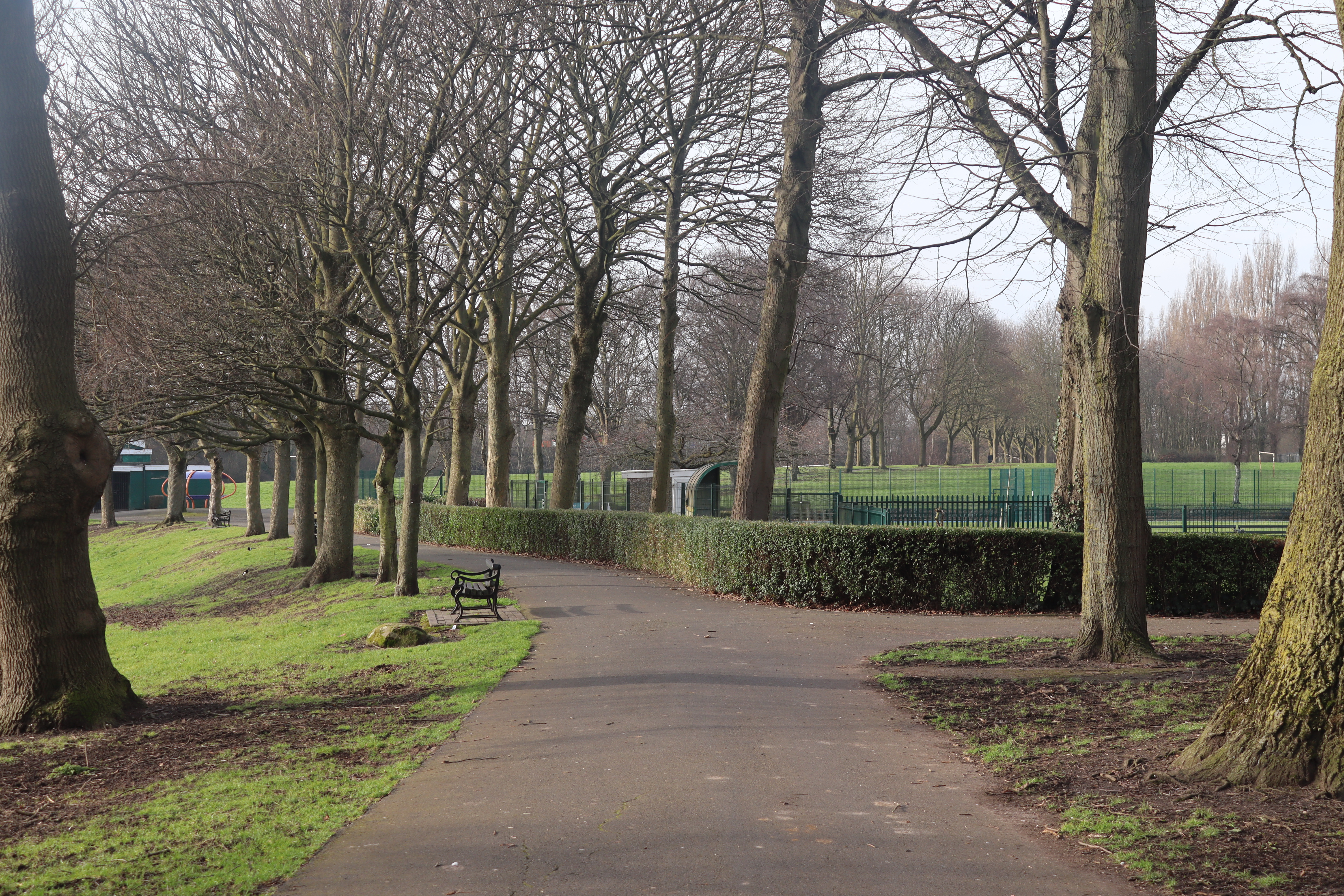 Funding confirmed for new children’s play area and outdoor gym in Pleck Park  