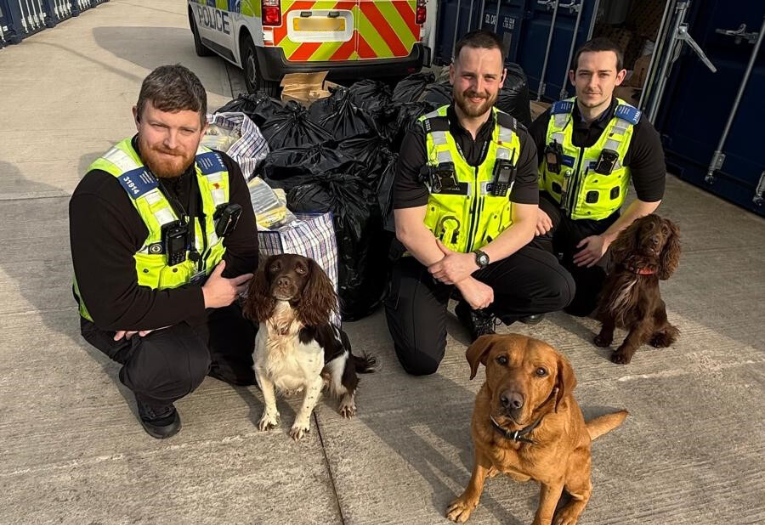 Image depicts three officers from West Midlands Police with sniffer dogs Griff, Cooper and Bran