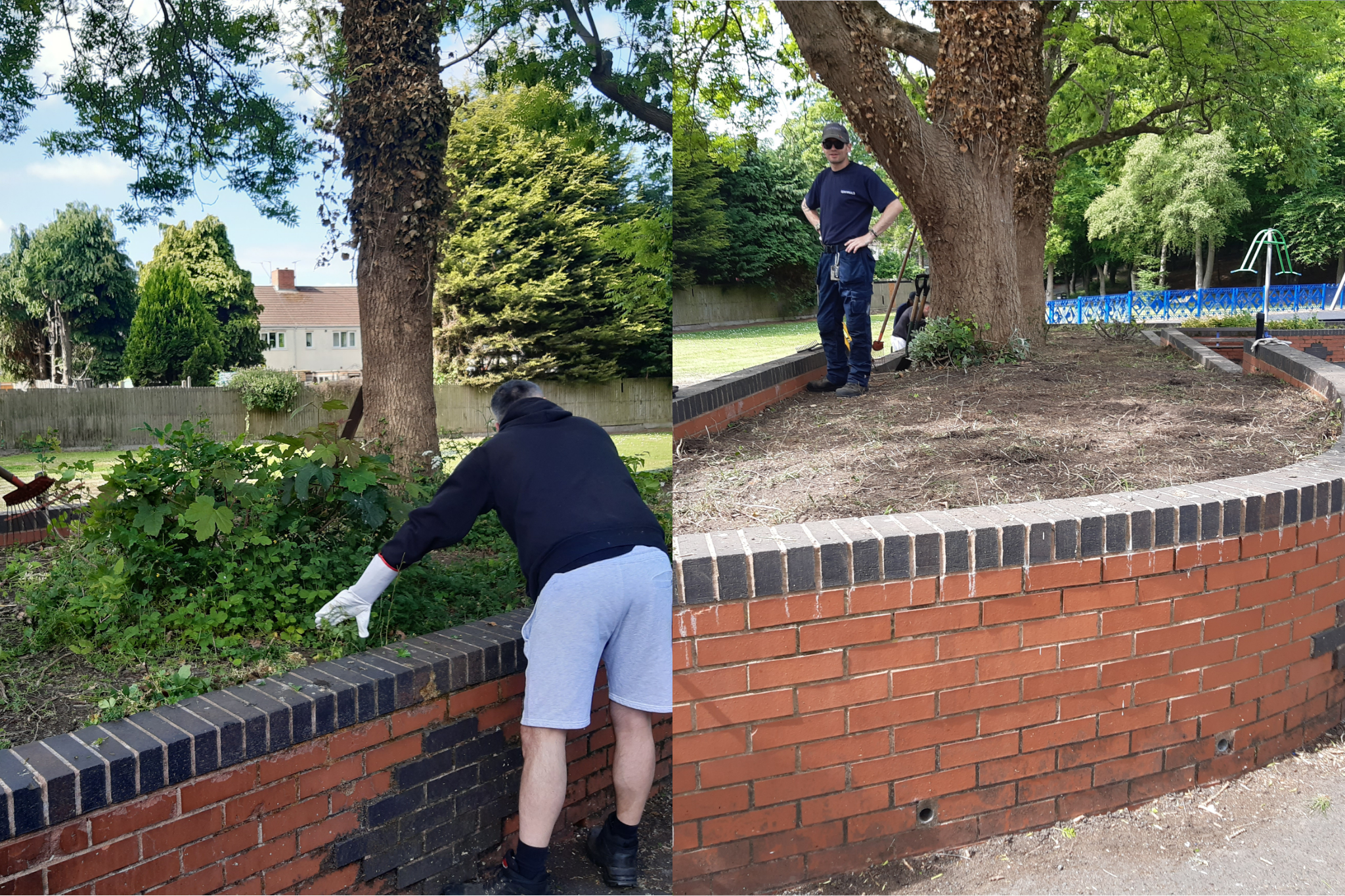 Before and after, with after picture looking clearer with less overgrown plants