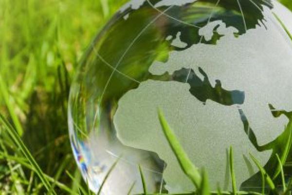 Glass globe on green grass