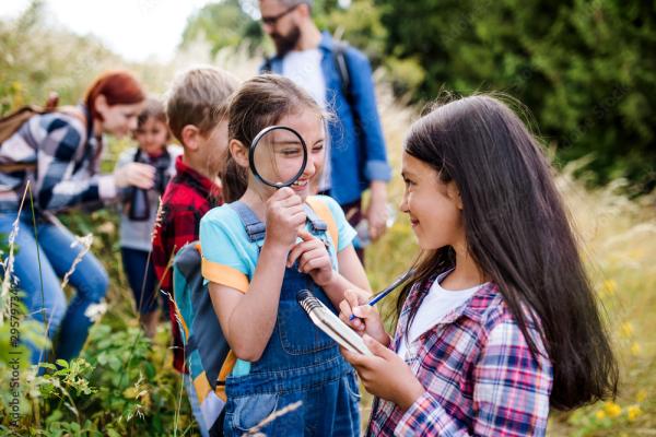 Group of children with magnifying glasses looking at nature in a field
