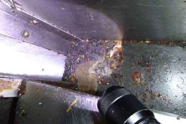 Shows rat droppings by a cooking range in the main kitchen area.