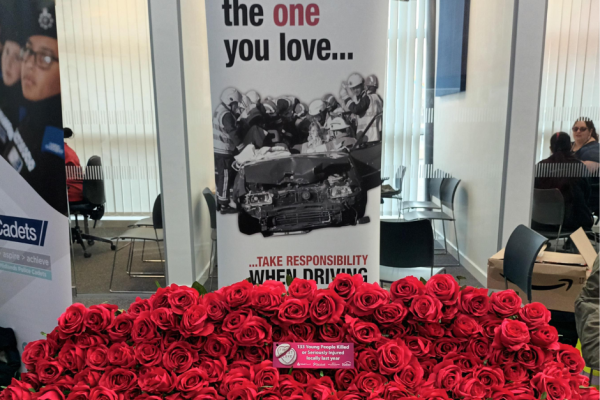 A display of 113 red roses representing the 113 young people killed and injured in road traffic accidents in a 12 month period