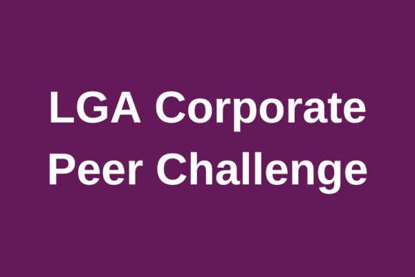 Purple background with white text stating LGA Corporate Peer Challenge