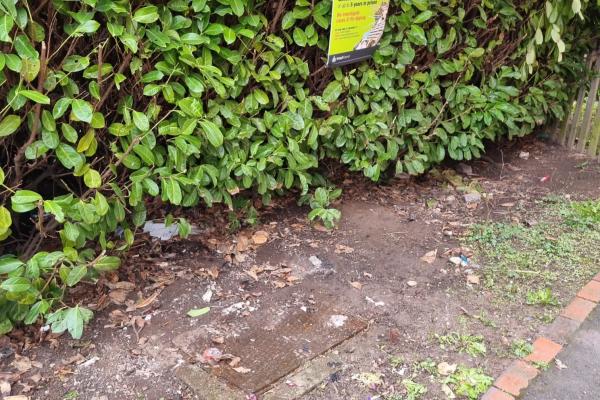 Cleaned fly-tipping scene at Brunel Walk
