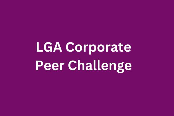 corporate peer challenge 