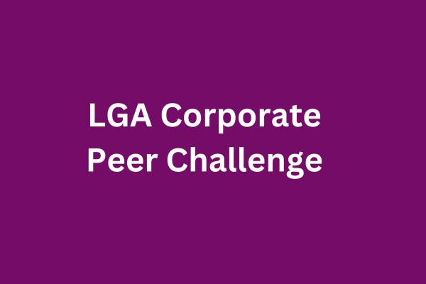 corporate peer challenge