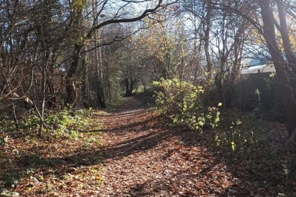 fibbersley nature reserve 