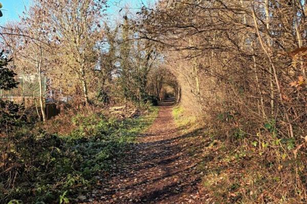 fibbersley nature reserve 