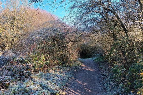 fibbersley nature reserve 