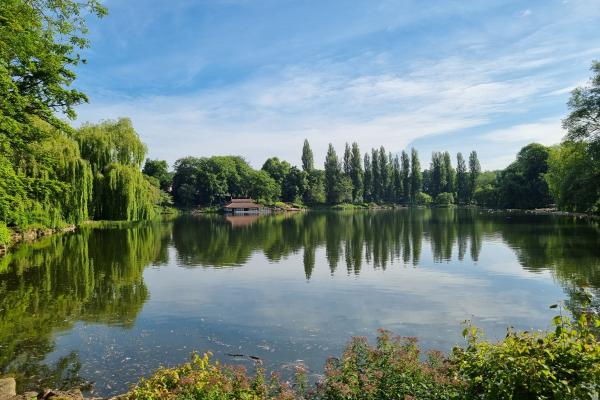 View over Arboretum lake, with trees mirrored in the reflection and the boathouse in the distance.