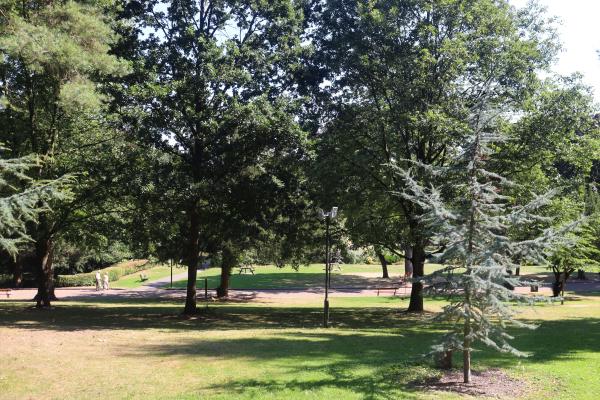 Mature trees in the open space of Walsall Arboretum. Sunny day with people walking in the shade.