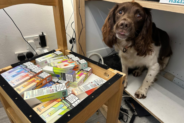 Image depicts Griff the sniffer dog next to a concealment of illegal vapes in a chair.