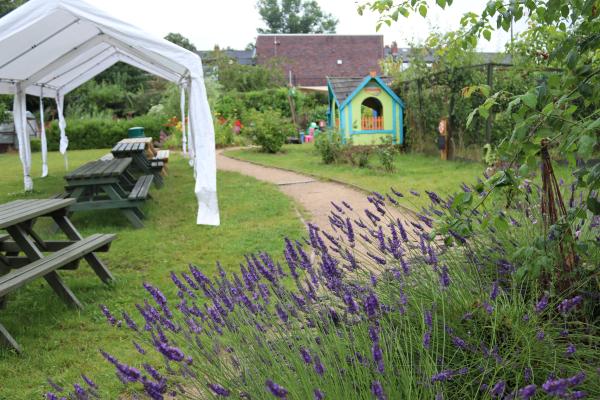 a large garden with benches  and lavender plants