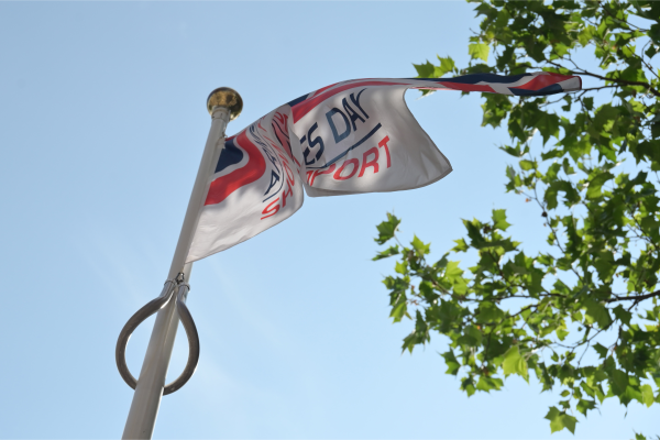 Armed forces day flag