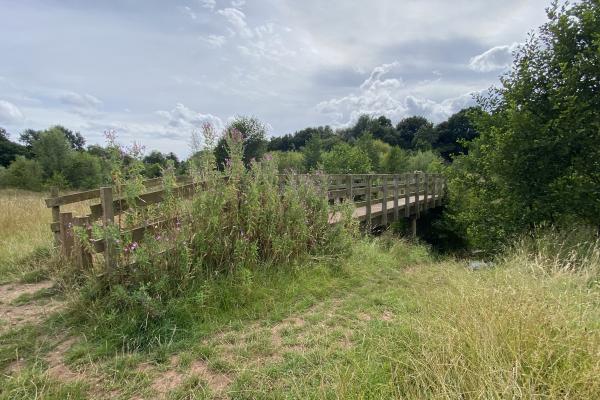 Bridge at Great Barr Conservation Area