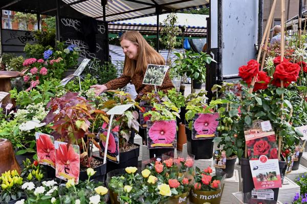 A smiling trader at their stall on Walsall Market surrounded by plants and flowers