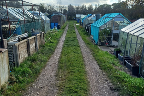 a driveway track that is muddy and has grass either side and down the middle