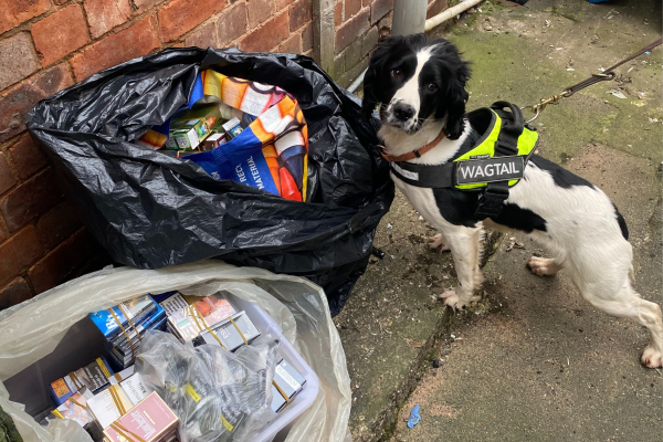 Highly trained sniffer dogs Ziggy