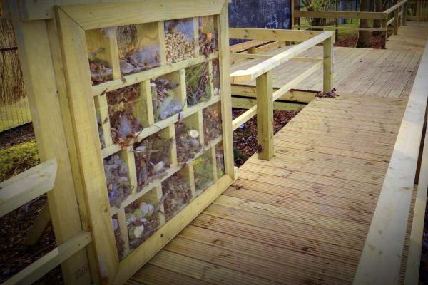 Old Hall school - forest school