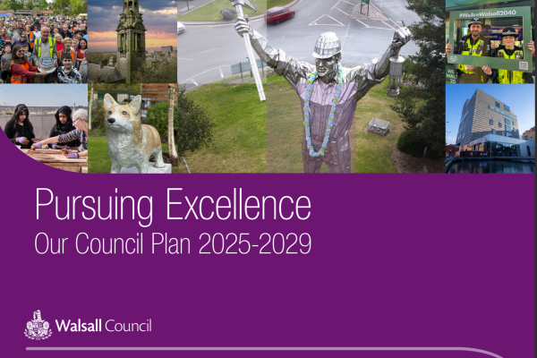 Council plan