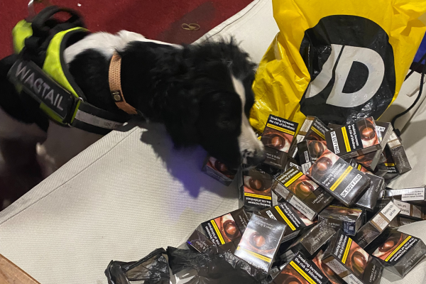 Ziggy helped unearth bags of vapes and cigarettes hidden amongst rubbish at the rear of the shop