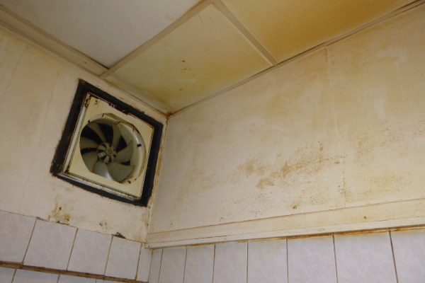 Image shows dirty / greasy wall and ceiling in kitchen by the extractor fan.