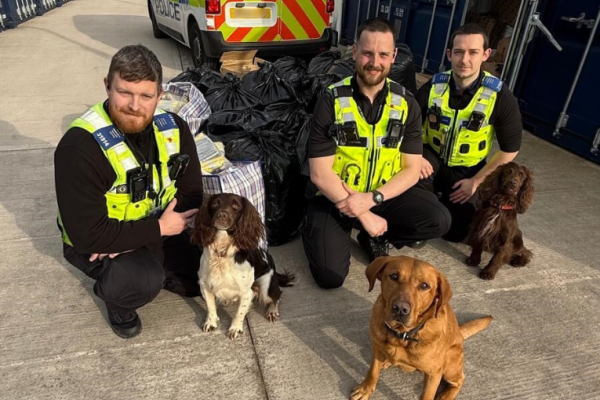 Image depicts three officers from West Midlands Police with sniffer dogs Griff, Cooper and Bran