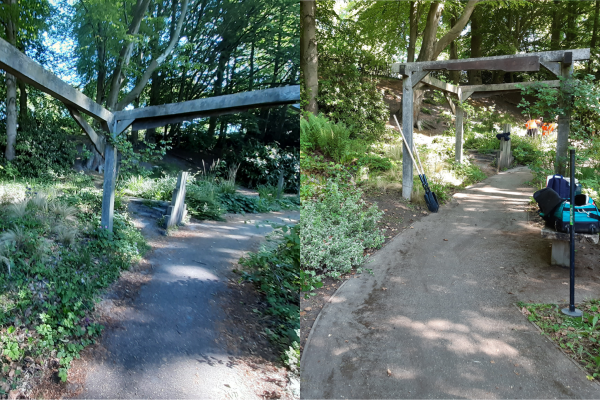 Memorial garden before and after pictures, after has fewer weeds
