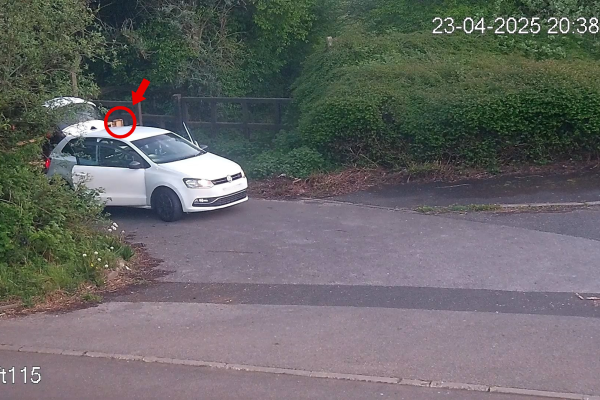 CCTV footage of the fly-tipping incident occurring on Stephenson Avenue, Walsall