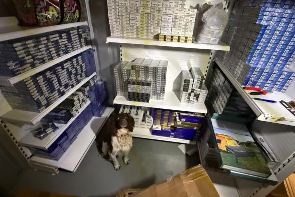 Griff the sniffer dog with some seized goods