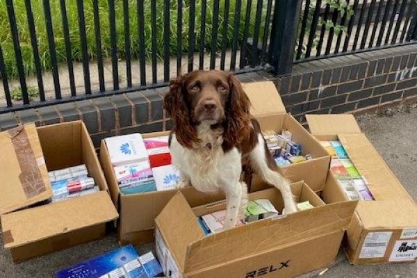 Griff the sniffer dog with some seized goods