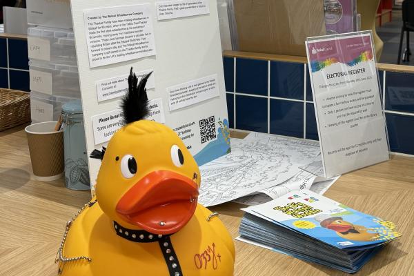 Walsall Waddle duck