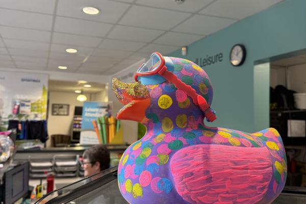 Walsall Waddle duck