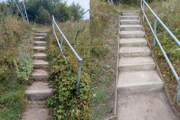 Before and after volunteers spruced up Reedswood Park