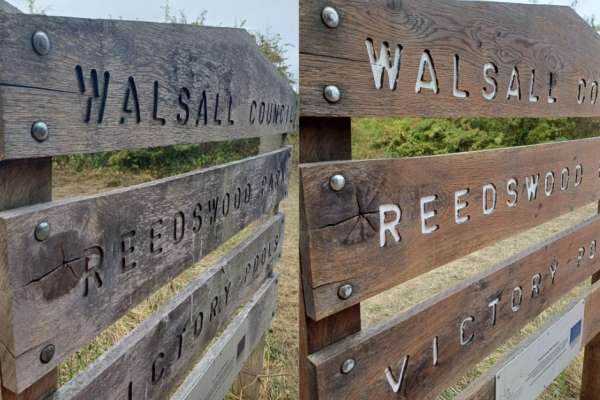 Before and after volunteers spruced up Reedswood Park