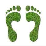 green grass footprints